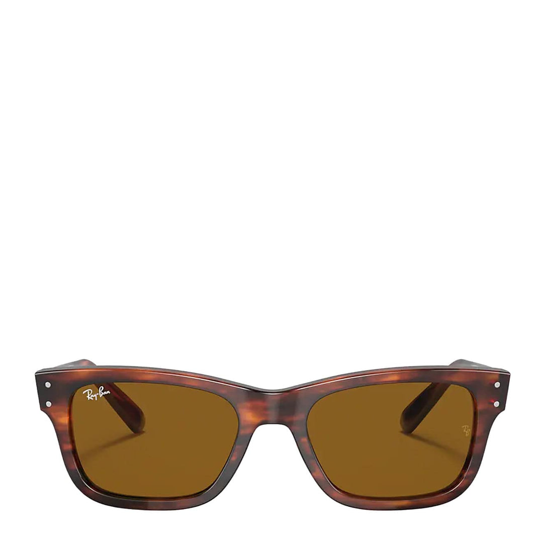 Ray-Ban Mr Burbank RB2283 Sunglasses Striped Havana / Brown Ray-Ban