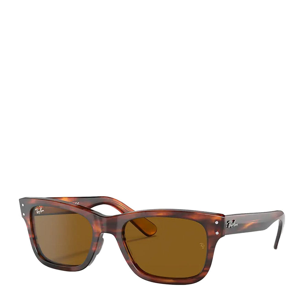 Ray-Ban Mr Burbank RB2283 Sunglasses Striped Havana / Brown Ray-Ban
