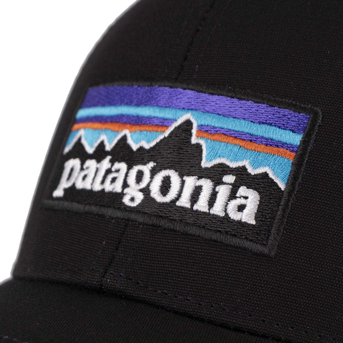 Patagonia P-6 Logo LoPro Trucker Hat Black Patagonia