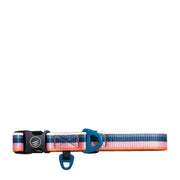 United by Blue Woven Dog Collar Foxglove / Lilac Haze United by Blue